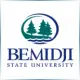 Bemidji State University - Teacher Education School Ranking