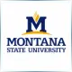 Montana State University - Teacher Education School Ranking
