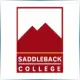 Saddleback College - Teacher Education School Ranking