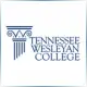 Tennessee Wesleyan University - Teacher Education School Ranking