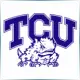 Texas Christian University - Teacher Education School Ranking