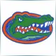 University of Florida - Teacher Education School Ranking