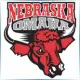University of Nebraska at Omaha - Teacher Education School Ranking