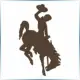 University of Wyoming - Teacher Education School Ranking