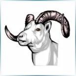 Little Big Horn College Little Big Horn College